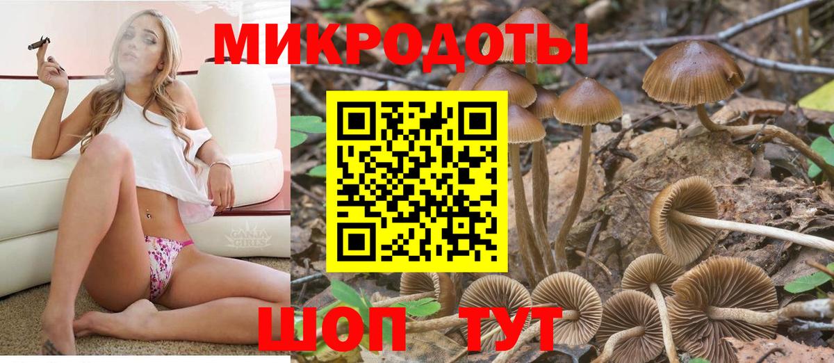 цены наркотик  Галлюциногенные грибы Cubensis  Вход с VPN  Щёлково 
